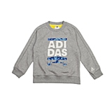 adidas阿迪达斯专柜同款小童男套头衫AH9654