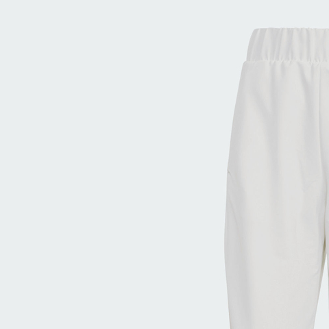 adidas阿迪达斯2024女子W Z.N.E. WVN PT梭织长裤IS1874