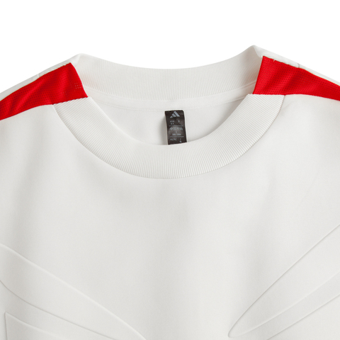 adidas阿迪达斯2024男子FUSTL P CREW针织圆领套衫JN3466