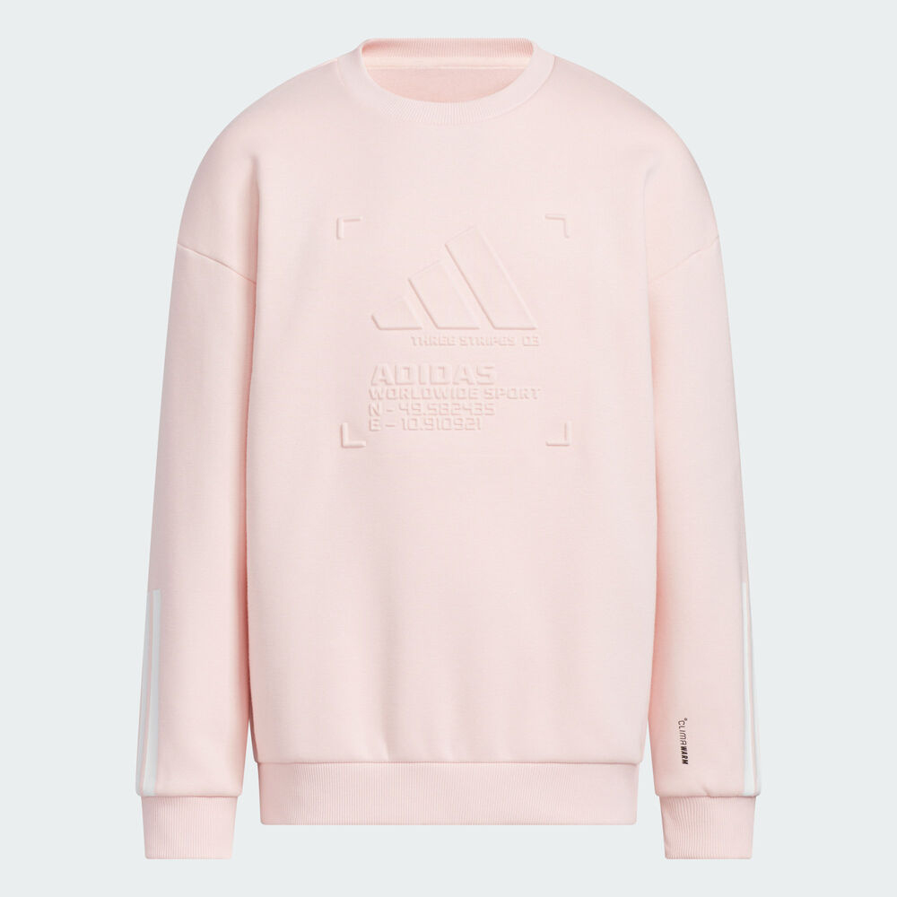 adidas阿迪达斯2025女大童JK WARM FL CREW针织无帽卫衣KT3308
