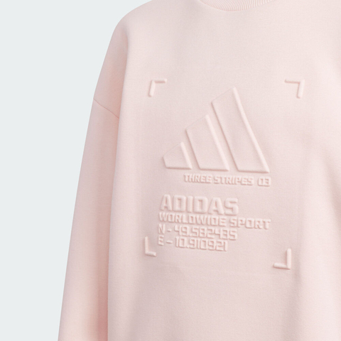 adidas阿迪达斯2025女大童JK WARM FL CREW针织无帽卫衣KT3308