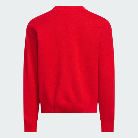 Adidas Kids阿迪儿童2025男小童LK TS SWEATER毛线套头衫KS3164