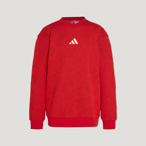 Adidas Kids阿迪儿童2025男小童LK KN CREW针织无帽卫衣KH0233