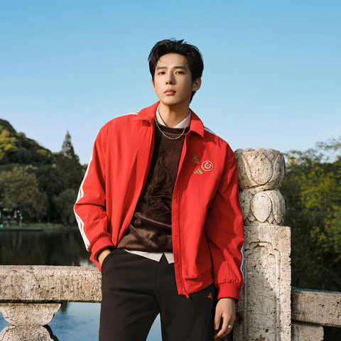 adidas阿迪达斯2025男子NYR GFX SWT针织无帽卫衣KE4067