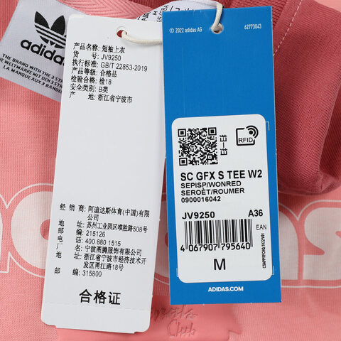 adidas Originals阿迪三叶草2025女子SC GFX S TEE W2针织无领短TJV9250