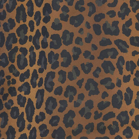 adidas Originals阿迪三叶草2025女子STN FBALL JRSY梭织无领短TKA2671