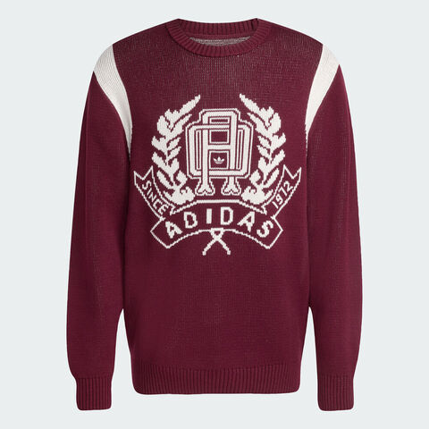 adidas Originals阿迪三叶草2025男子GRAPHIC REG JP毛线套头衫JX8215