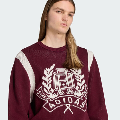 adidas Originals阿迪三叶草2025男子GRAPHIC REG JP毛线套头衫JX8215