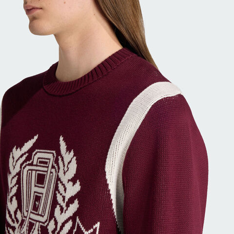 adidas Originals阿迪三叶草2025男子GRAPHIC REG JP毛线套头衫JX8215