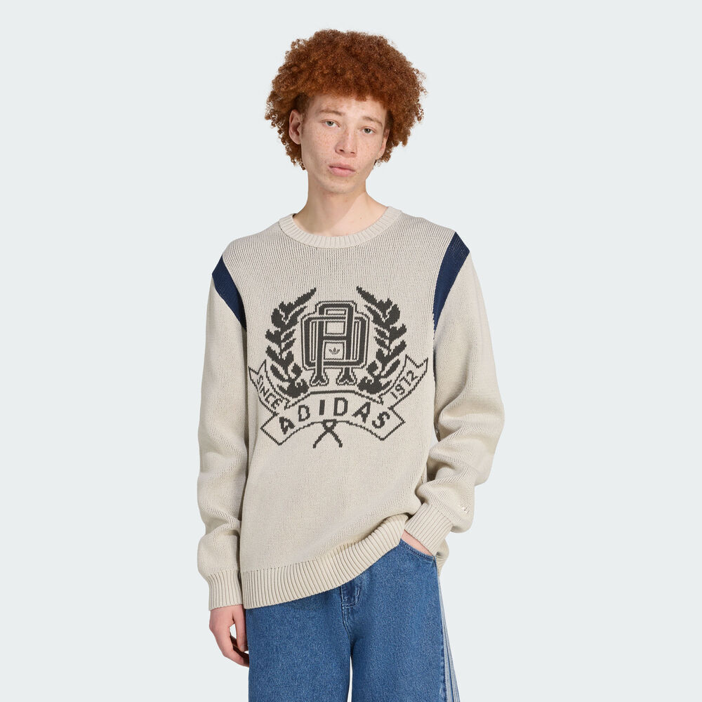 adidas Originals阿迪三叶草2025男子GRAPHIC REG JP毛线套头衫JX8214