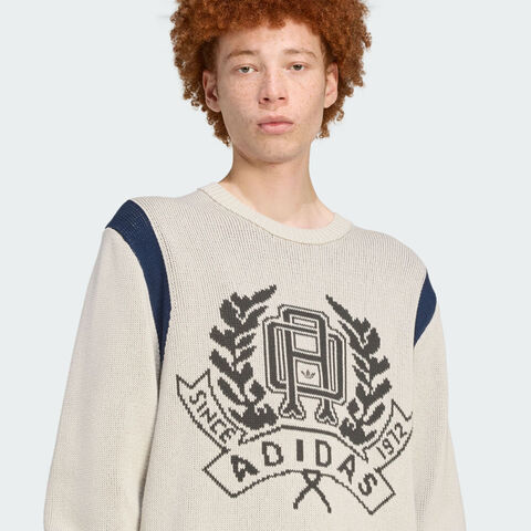 adidas Originals阿迪三叶草2025男子GRAPHIC REG JP毛线套头衫JX8214