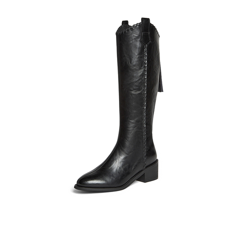 百思图2025冬季新款骑士靴时尚街头潮流粗跟尖头女长靴F3017DG5