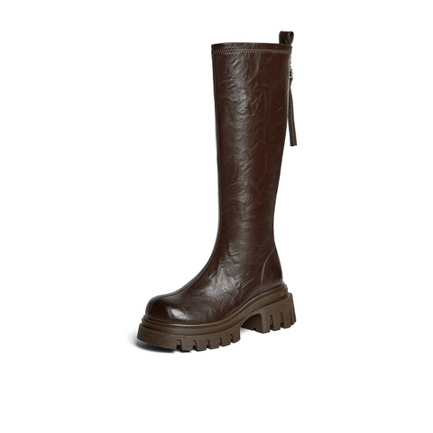 百思图2025冬季新款商场同款骑士靴时尚潮流粗跟女长靴F6013DG5