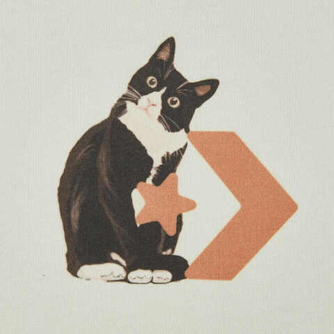 converse匡威2025女子女子-针织无领短T-白针织无领短TWCH662-W2Y