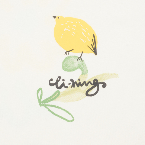 LI-NING李宁2024女子短袖文化衫无领短TAHSU338-1