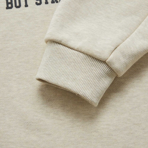 LI-NING李宁2025男子套头无帽卫衣针织无帽卫衣AWDV195-3