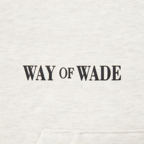 LI-NING李宁2025男子开衫连帽卫衣针织连帽外套AWDV099-2