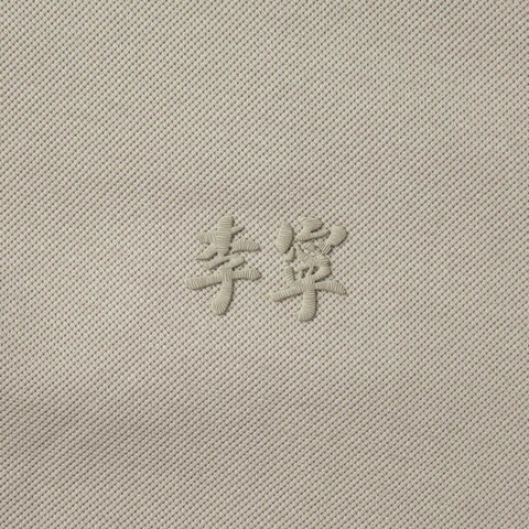 LI-NING李宁2025男子短袖POLO针织有领短TAPLV083-2