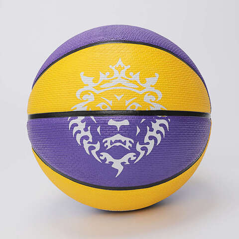 nike耐克2023年新款中性NIKE PLAYGROUND 8P L JAMES篮球篮球N100437257507