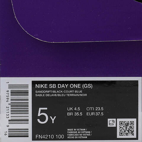 NIKE耐克2024大童NIKE SB DAY ONE (GS)极限户外鞋FN4210-100