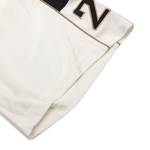 NIKE耐克2025男子AS M J BRK CAT SCRATCH SHORT梭织短裤HV0561-133