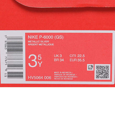 NIKE耐克2025男大童NIKE P-6000 (GS)儿童HV5064-006