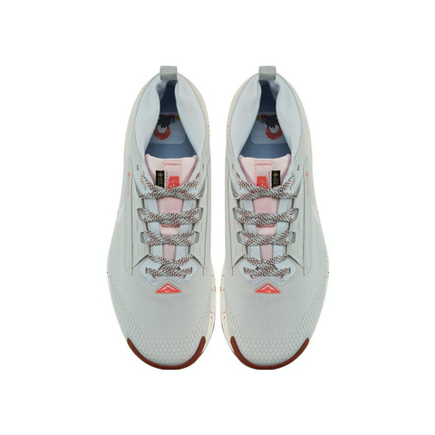 NIKE耐克2025男子NIKE PEGASUS TRAIL 5 GTX跑步FQ0908-009