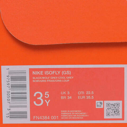 NIKE耐克2025大童NIKE ISOFLY (GS)儿童FN4384-001