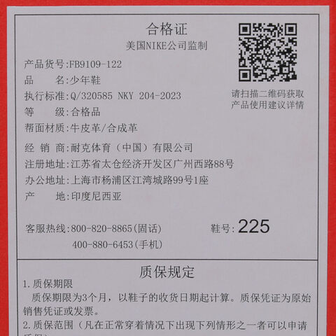 NIKE耐克2025男大童NIKE DUNK LOW (GS)儿童FB9109-122