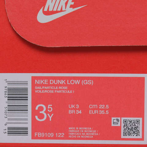 NIKE耐克2025男大童NIKE DUNK LOW (GS)儿童FB9109-122