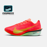 红/粉红/玫瑰红