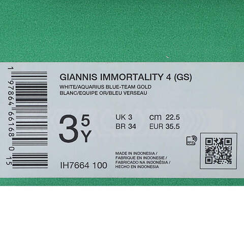 NIKE耐克2025大童GIANNIS IMMORTALITY 4 (GS)儿童IH7664-100