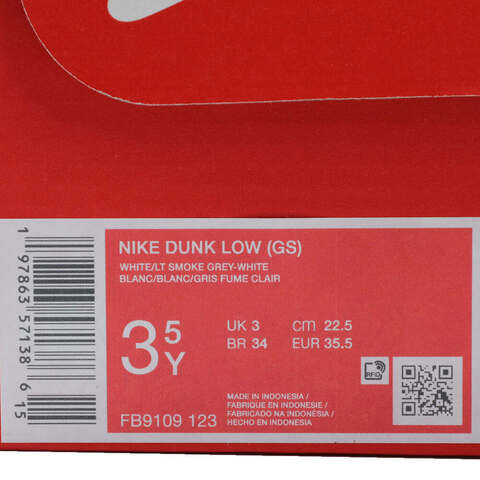 Nike KidsNike Kids2025男大童NIKE DUNK LOW (GS)儿童FB9109-123