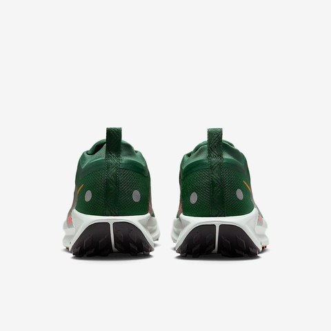 NIKE耐克2025男子NIKE PEGASUS TRAIL 5 GTX跑步FQ0908-301