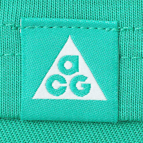 NIKE耐克2025男子AS M ACG TEE OC CACTUS针织无领短THV1293-324