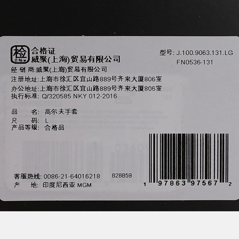 NIKE耐克2025男子JORDAN TOUR GG REG L APAC高尔夫手套手套J1009063131LG