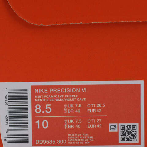 NIKE耐克2025男子NIKE PRECISION VI篮球DD9535-300