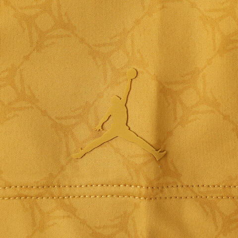 NIKE耐克2025男子M J SP GOLF AOP POLO针织有领短THV1155-772