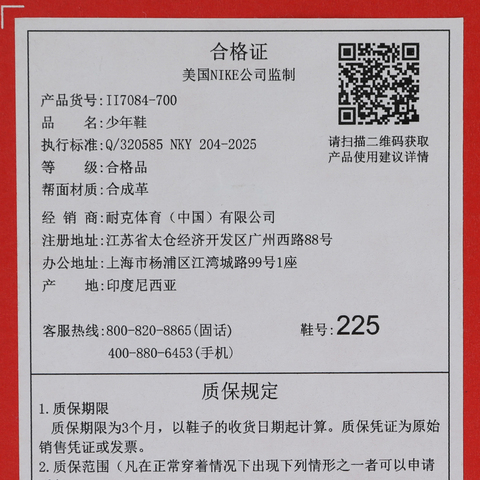 Nike KidsNike Kids2025男大童NIKE GATO LV8 (GS)儿童II7084-700