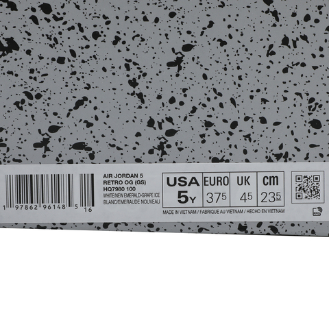 JordanJordan2025男大童AIR JORDAN 5 RETRO OG BG乔丹HQ7980-100
