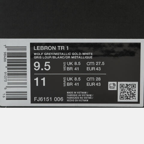 NIKE耐克2025男子LEBRON TR 1男训FJ6151-006