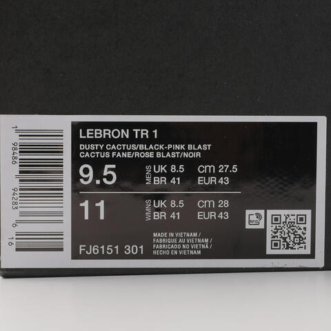 NIKE耐克2025男子LEBRON TR 1男训FJ6151-301