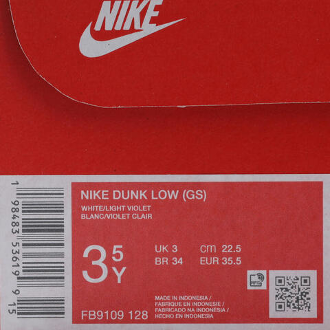 Nike KidsNike Kids2025男大童NIKE DUNK LOW (GS)儿童FB9109-128
