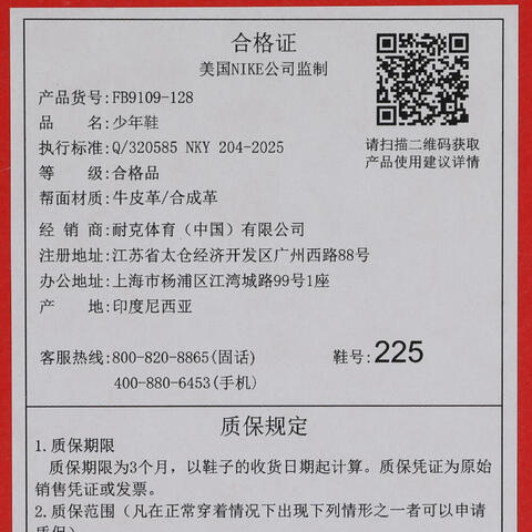 Nike KidsNike Kids2025男大童NIKE DUNK LOW (GS)儿童FB9109-128