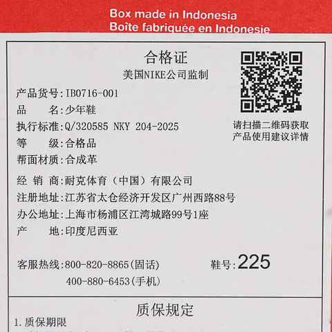 Nike KidsNike Kids2025男大童COURT BOROUGH LOW RCRFT SE BG儿童IB0716-001