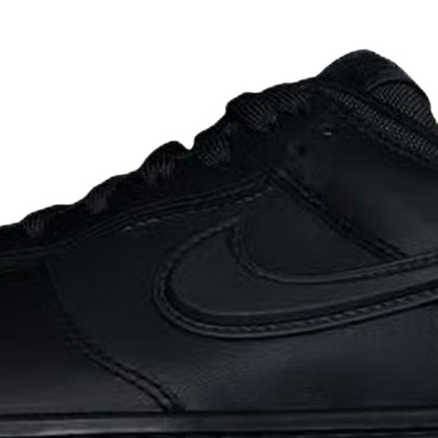 NIKE耐克2025男子NIKE DUNK LOW GTX休闲HQ2053-001