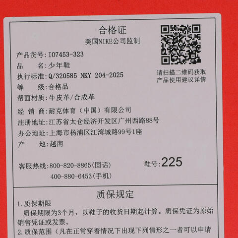 Nike KidsNike Kids2025男大童NIKE DUNK LOW BG儿童IO7453-323