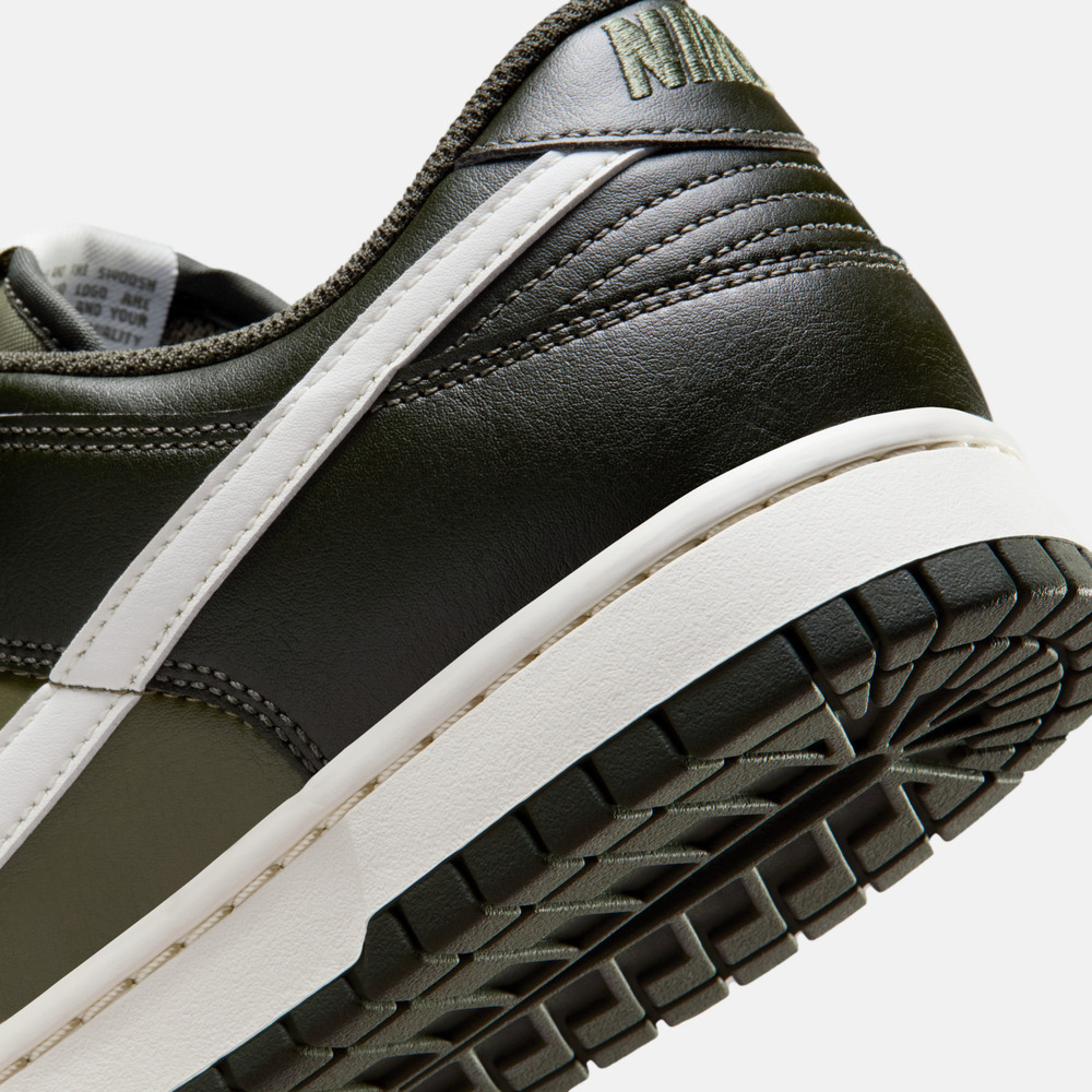 NIKE耐克2025男子NIKE DUNK LOW RETRO休闲HF5441-203