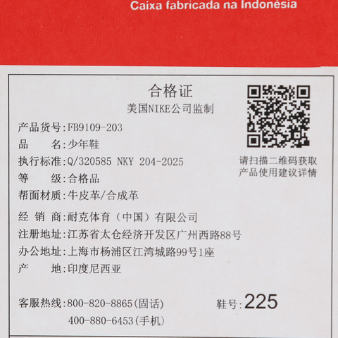 Nike KidsNike Kids2025男大童NIKE DUNK LOW (GS)儿童FB9109-203