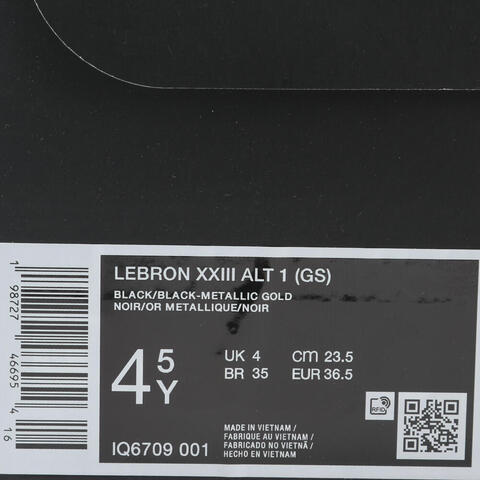 Nike KidsNike Kids2025男大童LEBRON XXIII ALT 1 (GS)儿童IQ6709-001